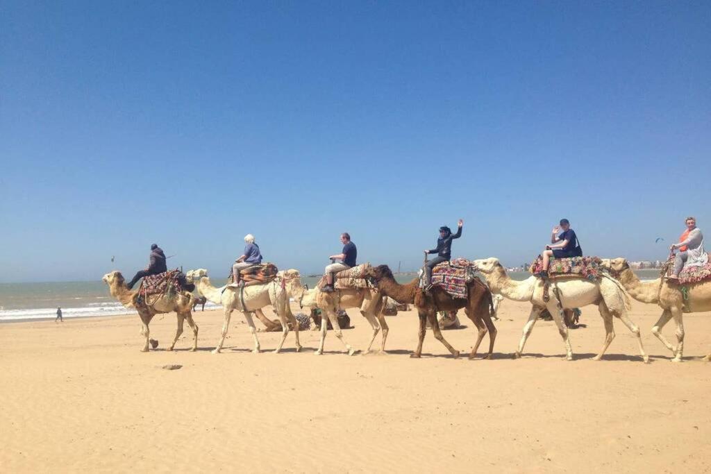Darsal-Bwindi, Pour Tomber Amoureux D'Essaouira ! Βίλα Εξωτερικό φωτογραφία